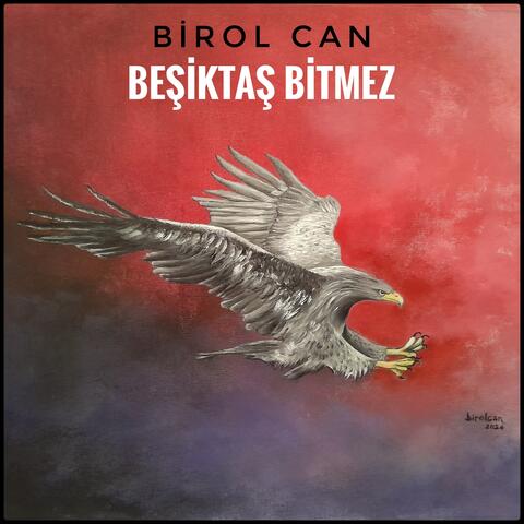 Beşiktaş Bitmez album art