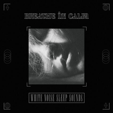 Breathe in Calm album art