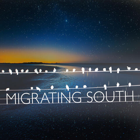 Migrating South album art