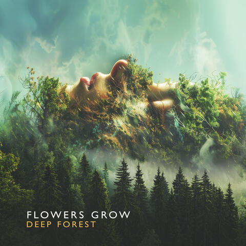 Flowers Grow album art