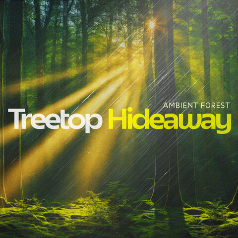 Treetop Hideaway album art