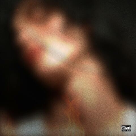 Afterlife: The Reincarnation album art