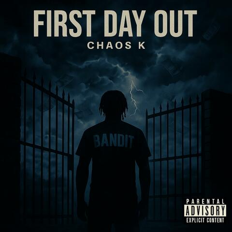FIRST DAY OUT album art