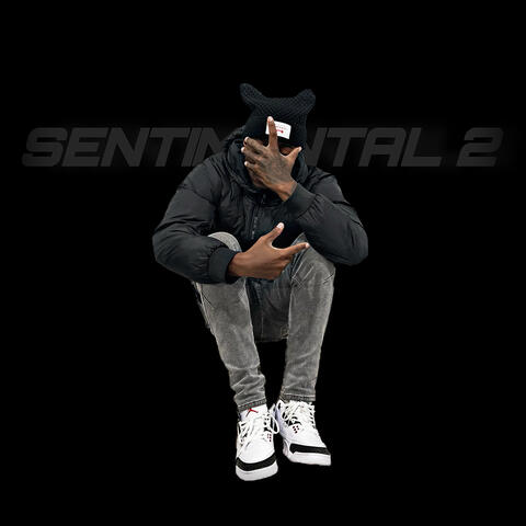 Sentimental 2 album art