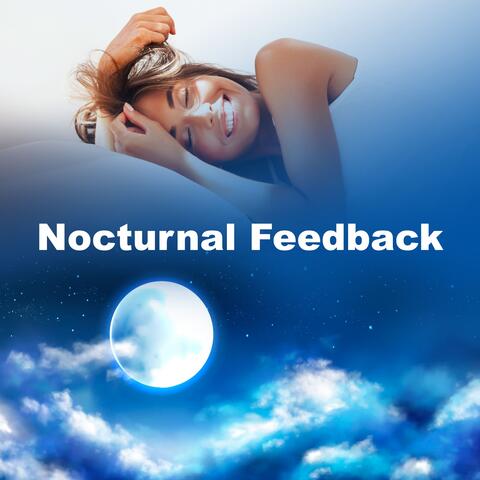 Nocturnal Feedback album art