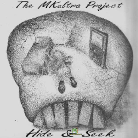HIDE AND SEEK album art