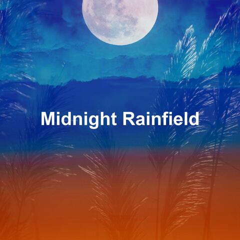 Midnight Rainfield album art