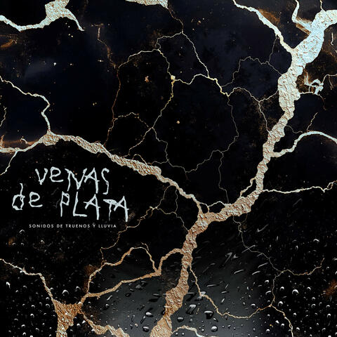 Venas de Plata album art