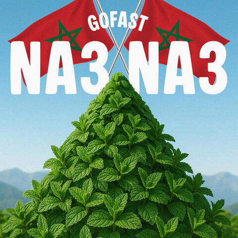NA3 NA3 album art