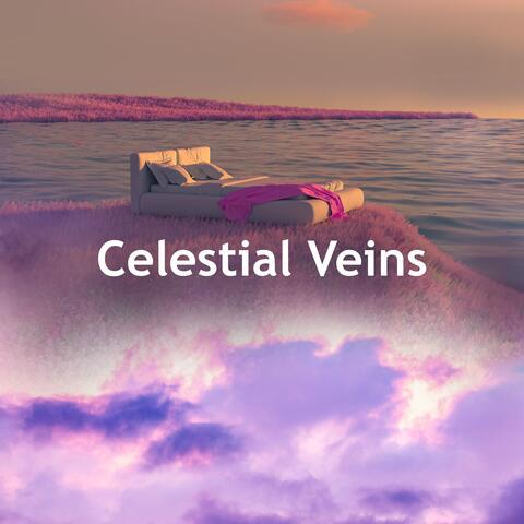 Celestial Veins album art