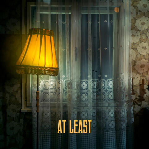AT LEAST album art