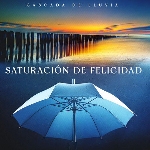 Saturación de Felicidad album art