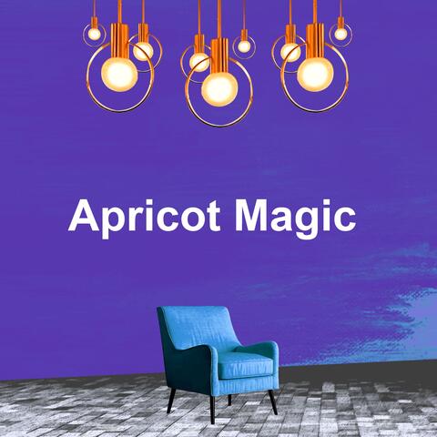 Apricot Magic album art