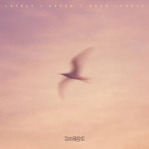 lately I haven't been lonely album art