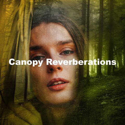 Canopy Reverberations album art