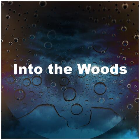 Into the Woods album art
