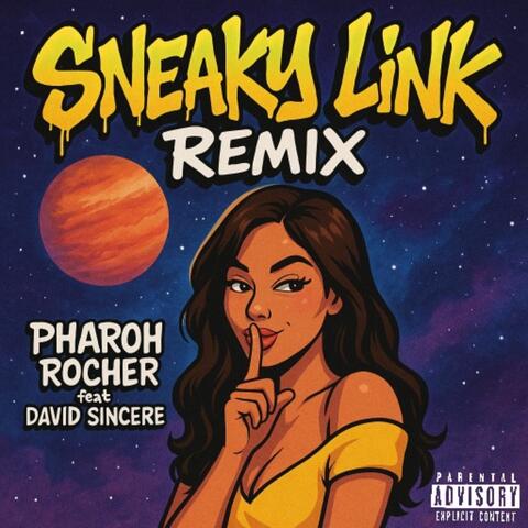 Sneaky Link (remix) album art