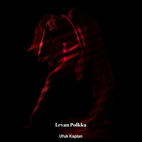 Levan Polkka album art