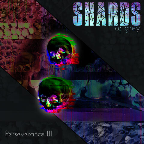 Perseverance III: Thanks For Saving Me From that Psychopath and Then Immediately Turning Around and Doing the Exact Same Shit album art