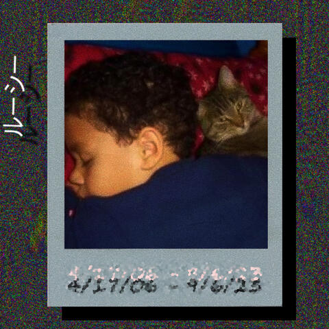 Live Laugh Love Lucy album art