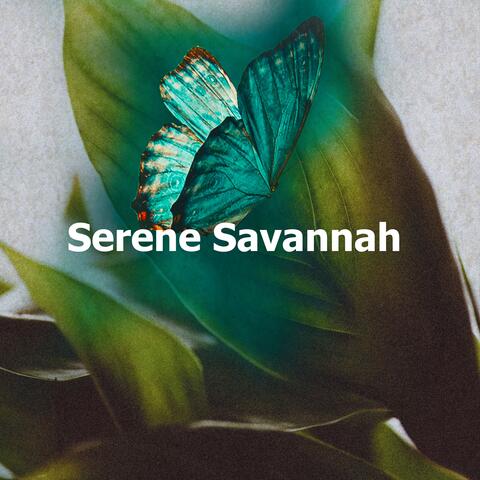 Serene Savannah album art