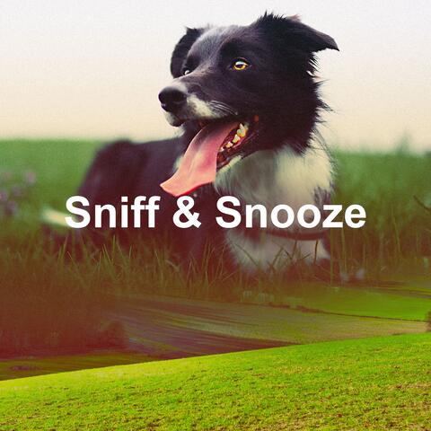 Sniff & Snooze album art