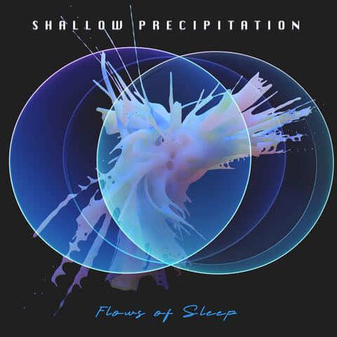Shallow Precipitation album art