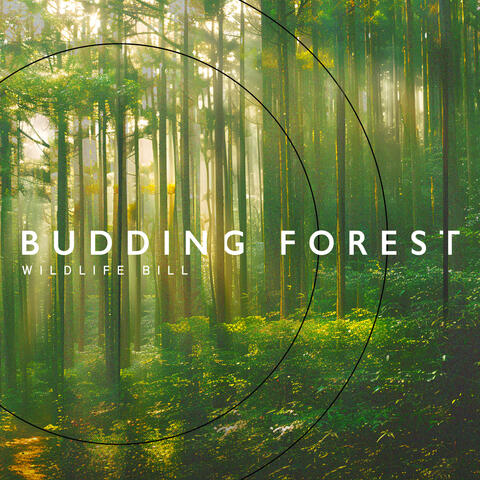 Budding Forest album art