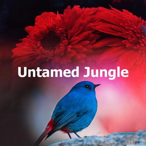 Untamed Jungle album art