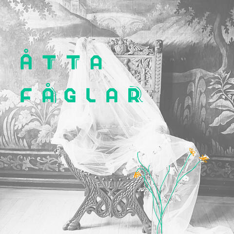 Åtta fåglar album art