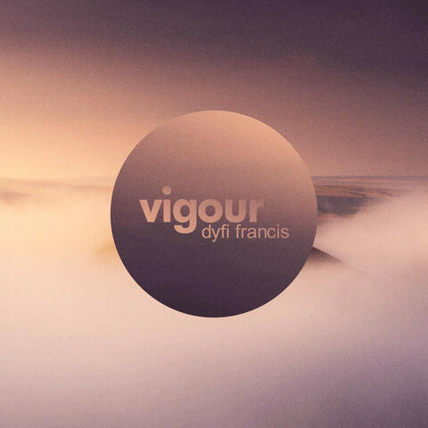 Vigour album art