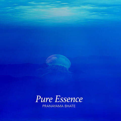 Pure Essence album art