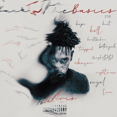 Back To The Basics album art