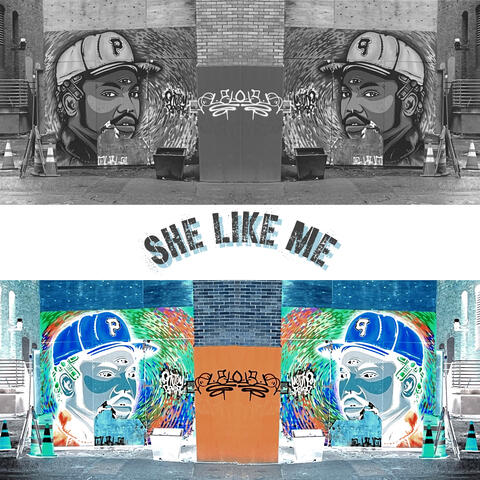 She Like Me album art