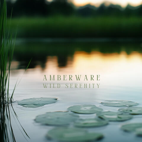 Wild Serenity album art