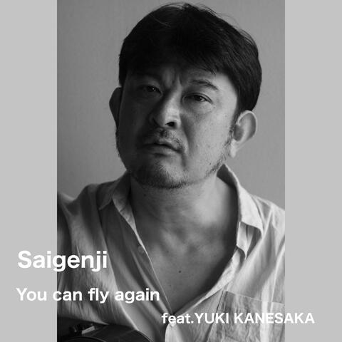 You can fly again album art