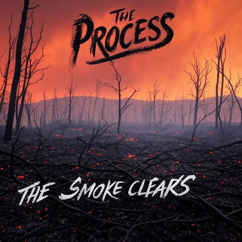 The Smoke Clears album art