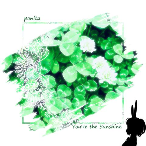 You're the Sunshine album art