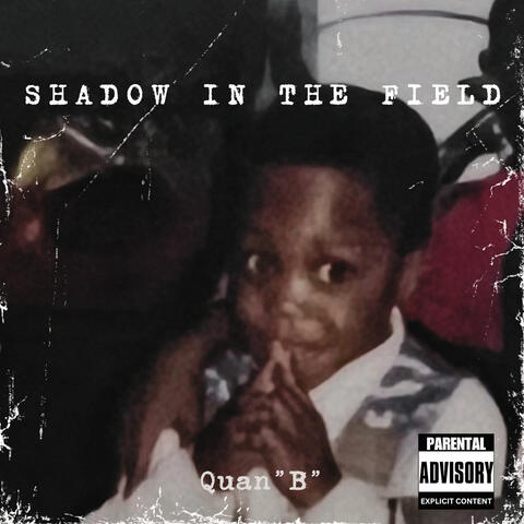 Shadow In The Field album art