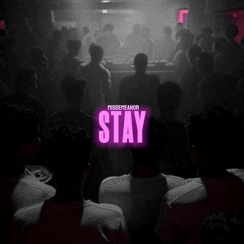 Stay album art