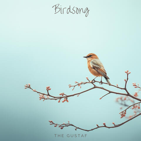 Birdsong album art