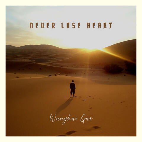 Never Lose Heart album art