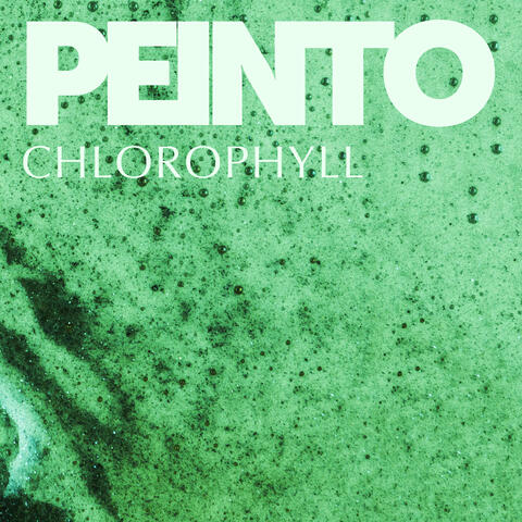Chlorophyll album art