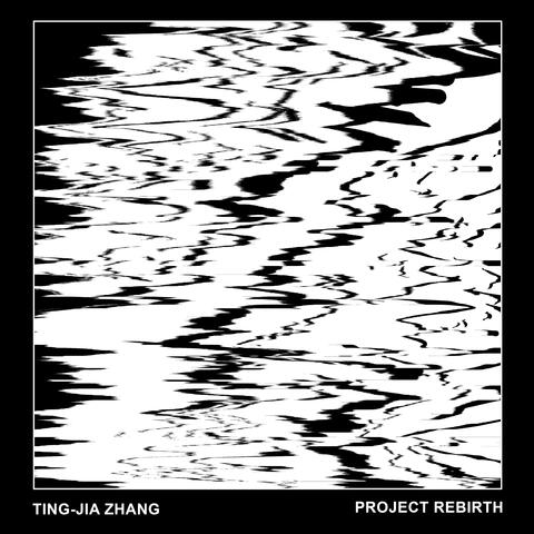 Project Rebirth 1 album art