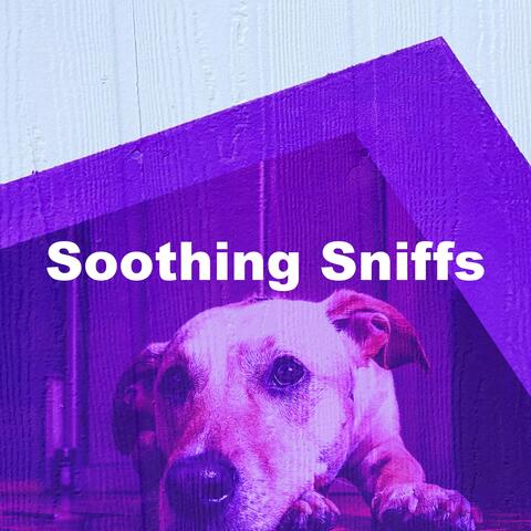 Soothing Sniffs album art