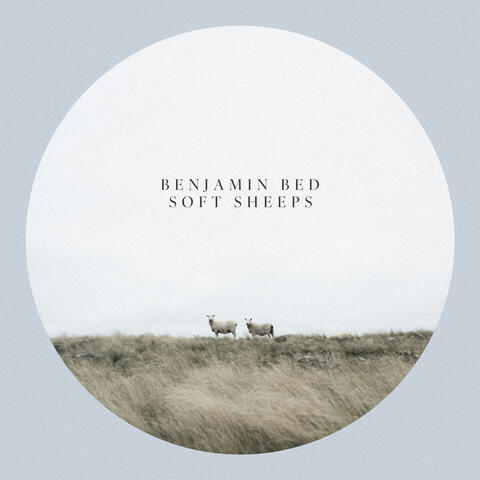 Soft Sheeps album art