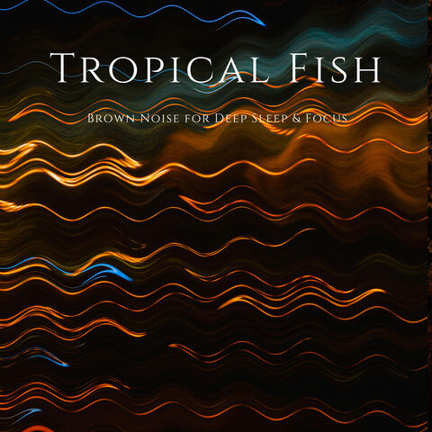 Brown Noise for Deep Sleep & Focus album art