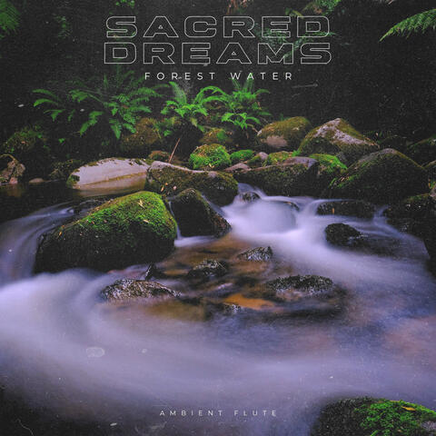 Forest Water album art