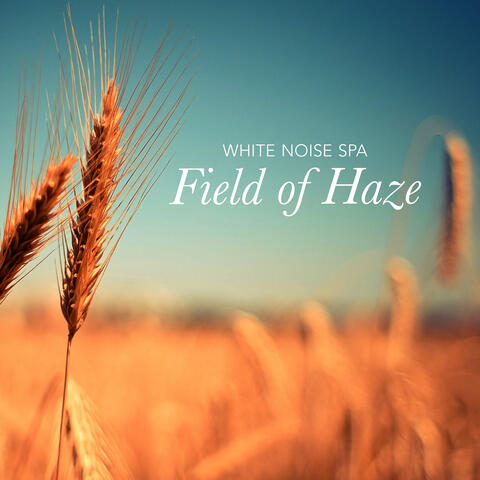 Field of Haze album art