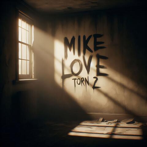 torn 2 album art